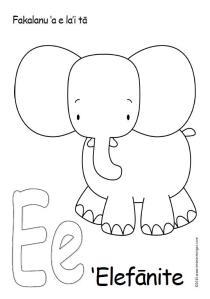 Elephantcolourin